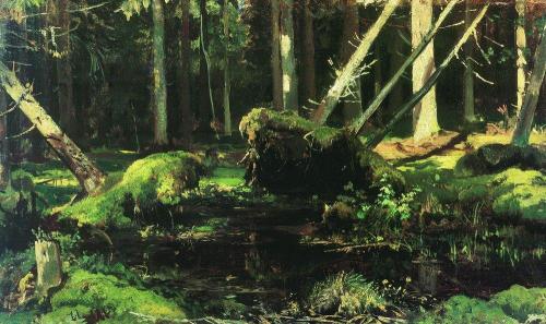 wind-fallen-trees-1887