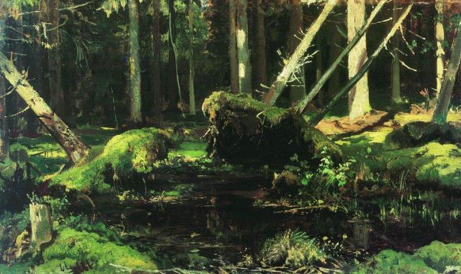 wind-fallen-trees-1887